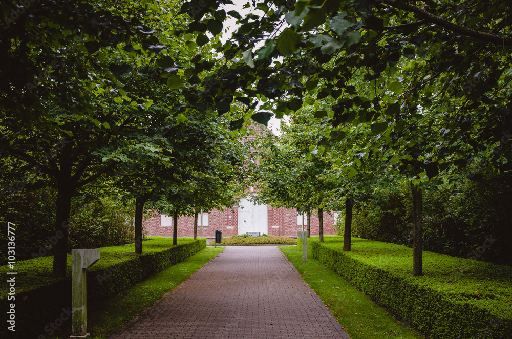 Beautiful entryway of trees