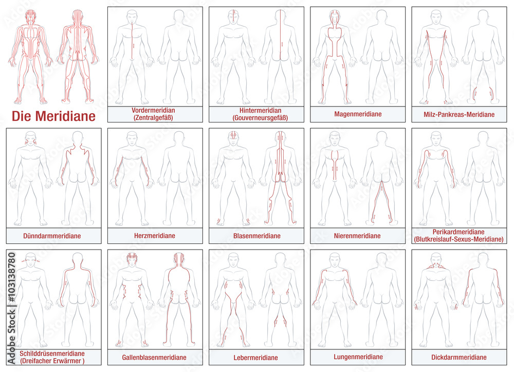 Body meridians - GERMAN LABELING - Schematic diagram with main acupuncture meridians and their directions of flow. Isolated vector illustration on white background. - obrazy, fototapety, plakaty 