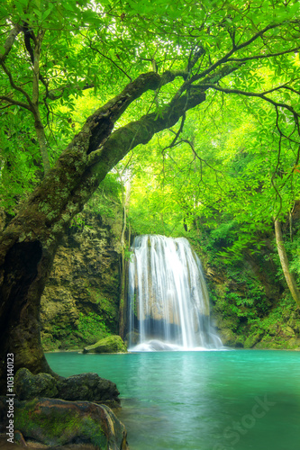 Fototapeta Naklejka Na Ścianę i Meble -  Forest waterfall at Erawan waterfall National, Kanchanaburi,Thai