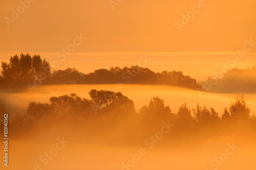 Misty morning scene with trees and fog lit by rising sun.