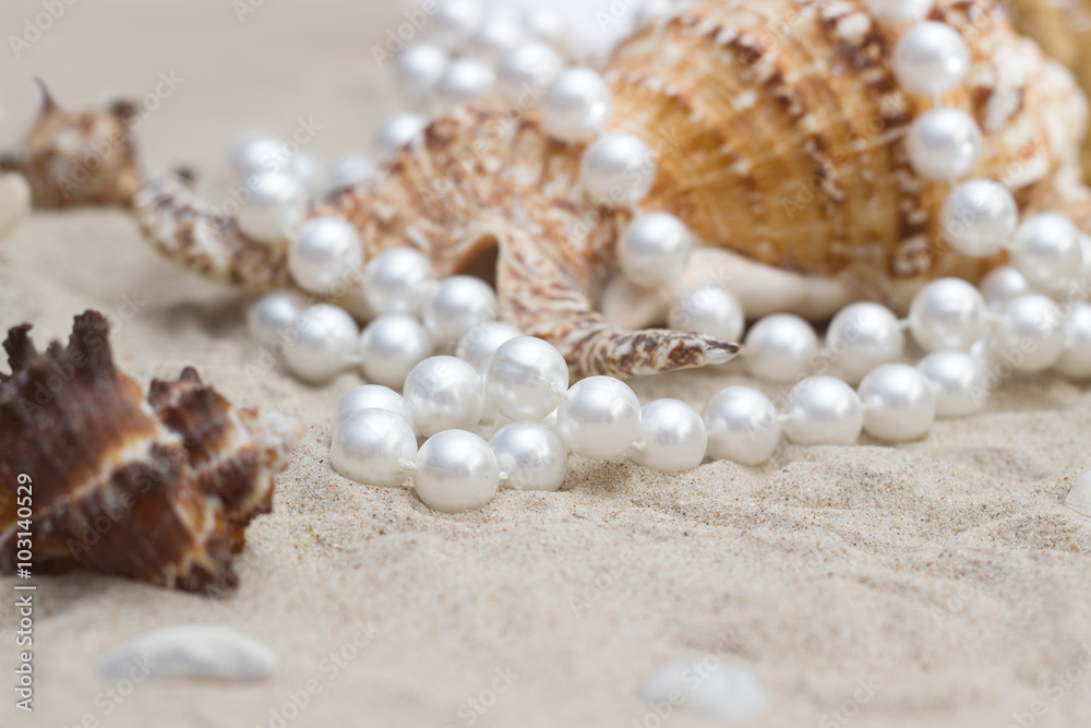 shell with pearls on a sandy shell with pearls on a sandy