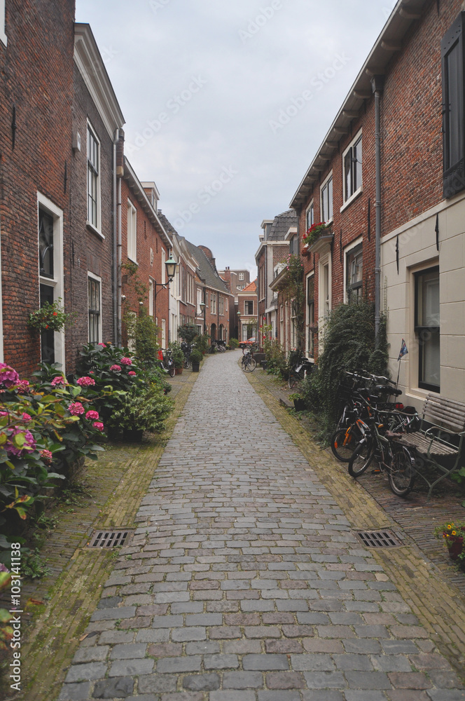 A typical picturesque street in Haarlem Holland 