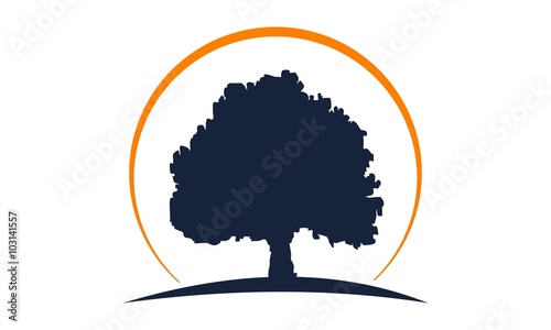 Oak Tree Logo 