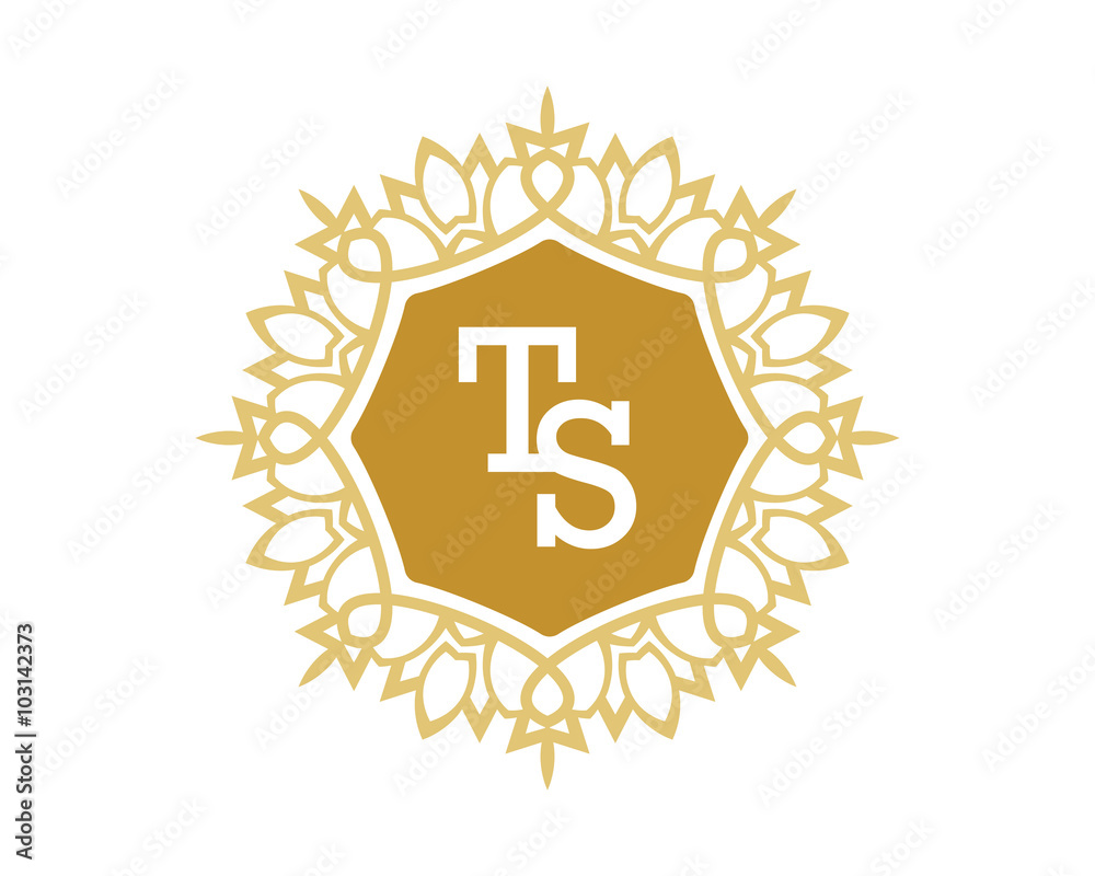 TS initial royal letter logo