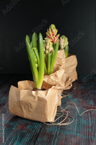 Hyacinth plants in wrapping paper on the wooden table