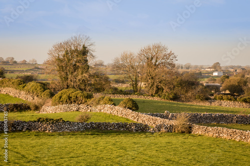 Cloughanover Pastures photo