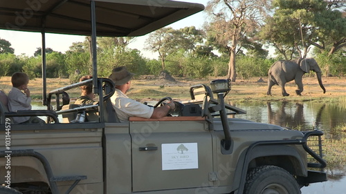Tourists on game drive vehicle viewing elephant