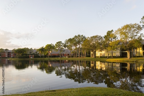 Lake in residential area with pine trees in Florida