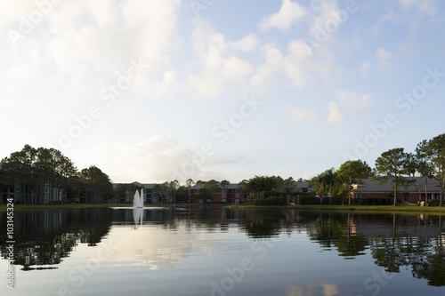 Lake in residential area with pine trees in Florida © Edelweiss086