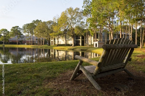 Sitting bank in residential area with pine trees in Florida