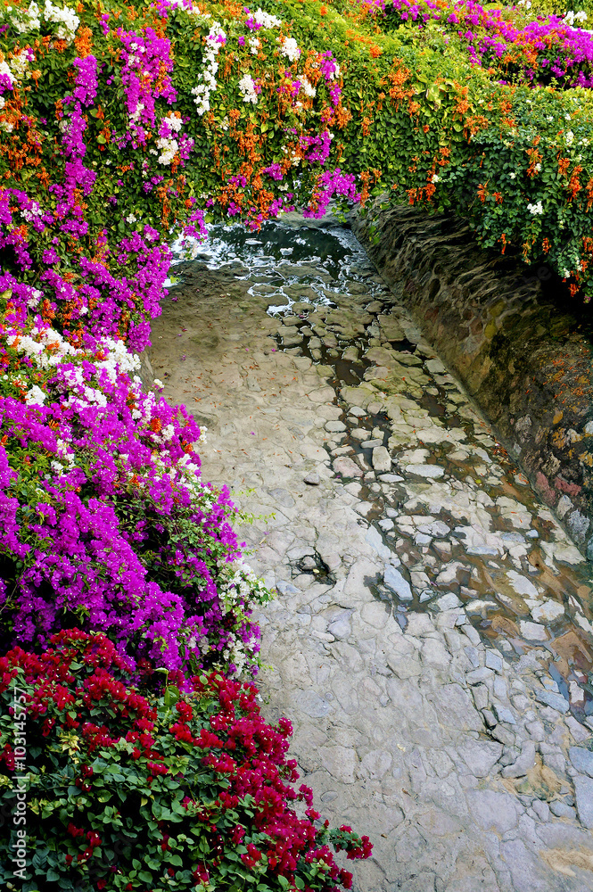 Naklejka premium Shaded path and flowers Puerto Vallarta Mexico