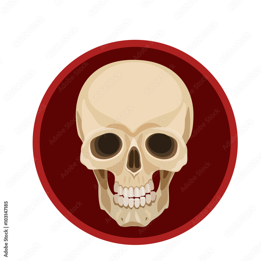 Fototapeta premium icon Human skull/ Icon human skull on a red background range for fans, for the icon and website 