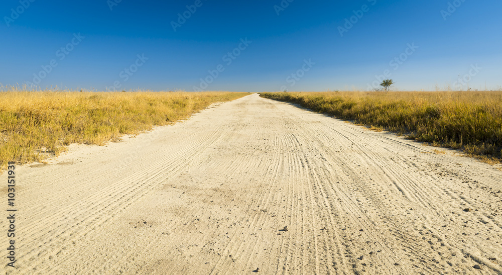 Endless dirt road through the plains of Botswana, Africa at the Makgadikgadi Pan