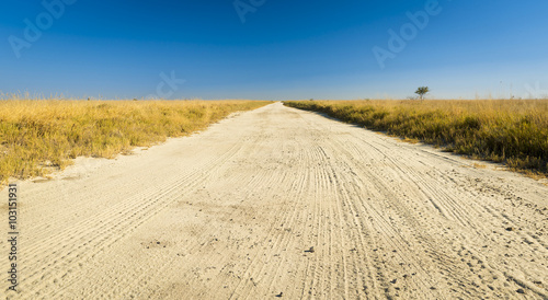 Endless dirt road through the plains of Botswana  Africa at the Makgadikgadi Pan