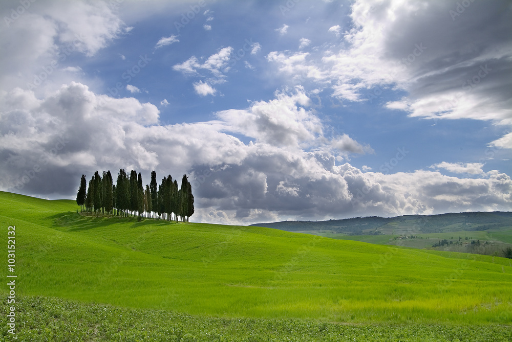 Tuscan landscape Siena hills