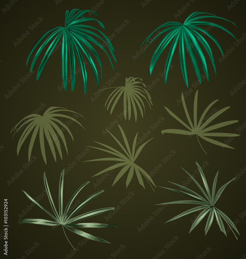 leaf leaf