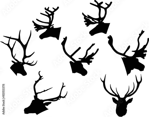 set of seven deer heads isolated on white