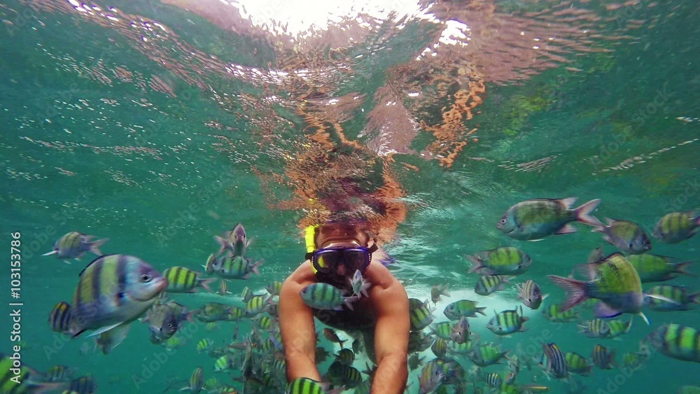 Man feeding fish. Underwater scene.