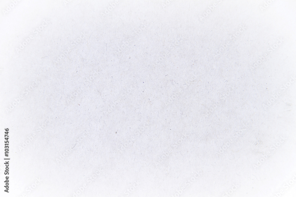 Obraz premium White paper background