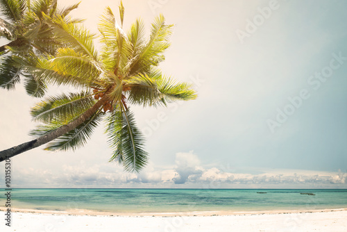 Landscape vintage nature background of coconut palm tree on tropical beach coast with sunlight in summer  retro effect filter