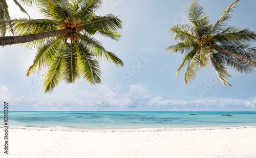 Fototapeta Naklejka Na Ścianę i Meble -  Landscape vintage nature background of coconut palm tree on tropical beach coast with sunlight in summer, retro effect filter
