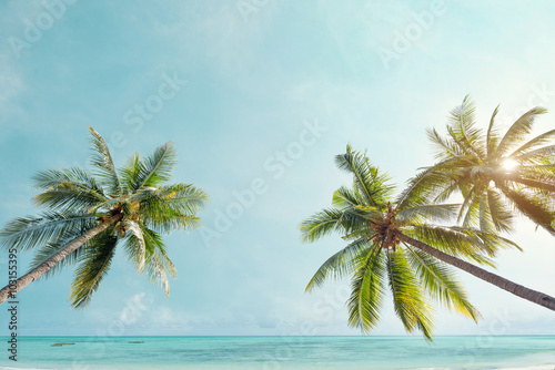 Fototapeta Naklejka Na Ścianę i Meble -  Palm tree on tropical coast with  in summer beach. vintage color tone stylized