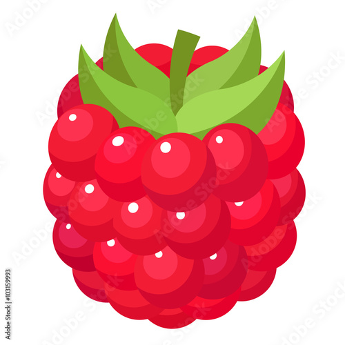 Raspberry Fruit Icon