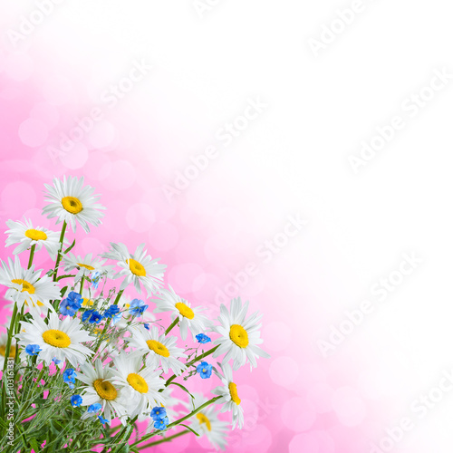 Fototapeta Naklejka Na Ścianę i Meble -  Background with flowers