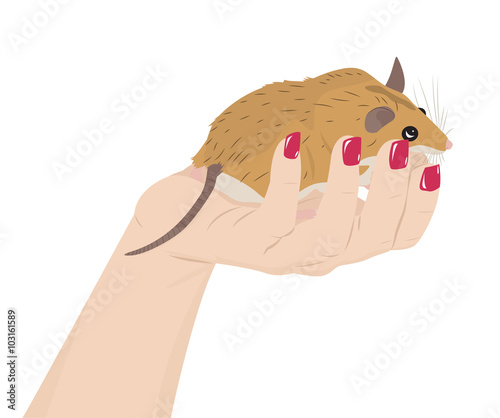 Obraz na plátne Mouse in a female hand
