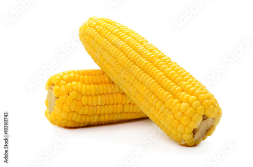 ears of Sweet corn isolated on white background
