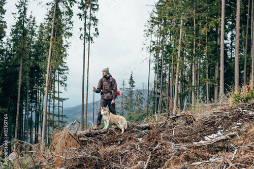 hiker with siberian husky dog looking at beautiful view in mountains