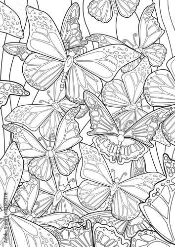 Adult Coloring book – illustration. Tattoo set: Butterflies. Vector illustration.