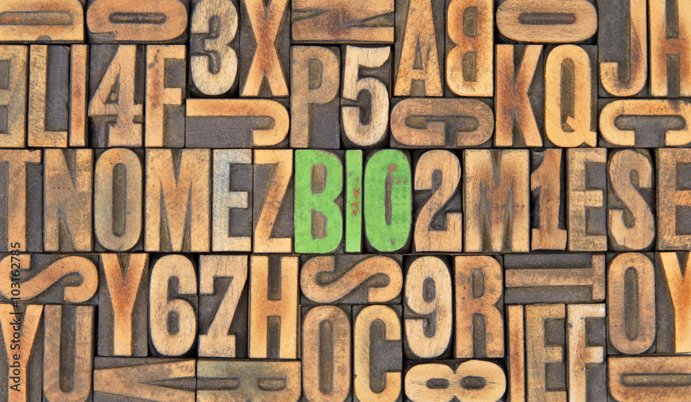BIO / caracteres d'imprimerie en bois BIO / caracteres d'imprimerie en bois