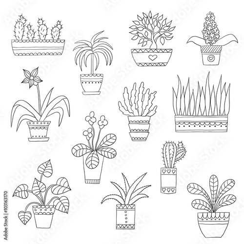 Cute hand drawn vector flowers in the pots.