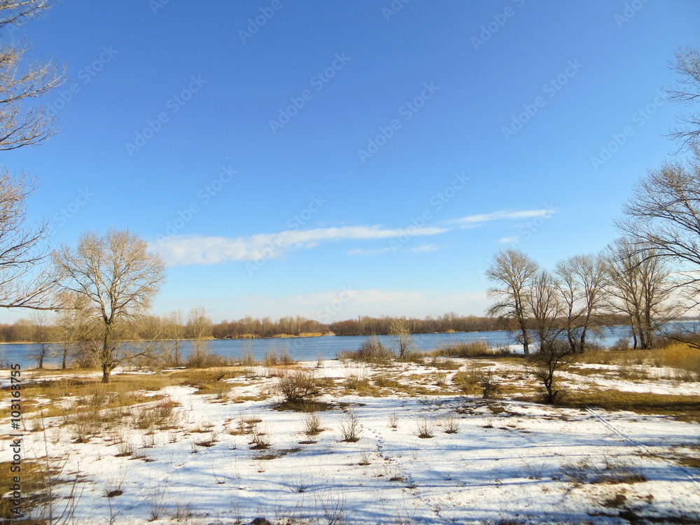 Winterscape Winterscape