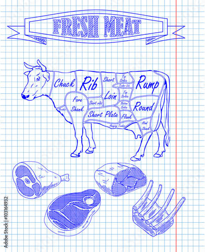 beef scheme and pieces of meat
