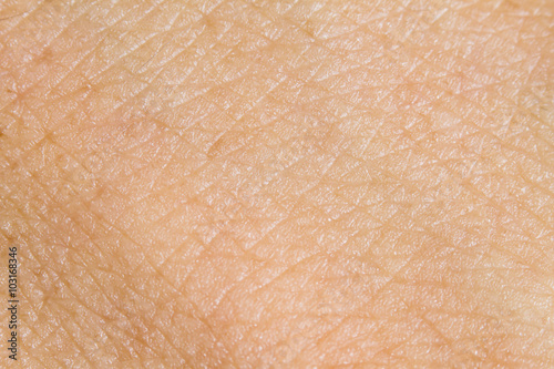 Background of the human skin. macro