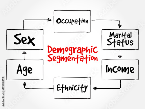 Demographic segmentation mind map flowchart social business concept for presentations and reports