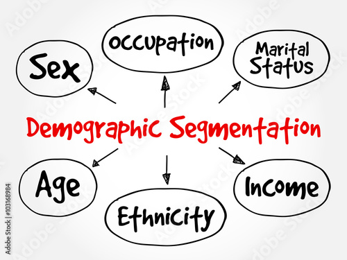 Demographic segmentation mind map flowchart social business concept for presentations and reports
