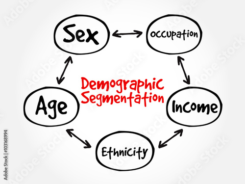 Demographic segmentation mind map flowchart social business concept for presentations and reports