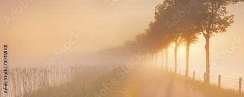 Fotografia Foggy sunrise in typical polder landscape in The Netherlands