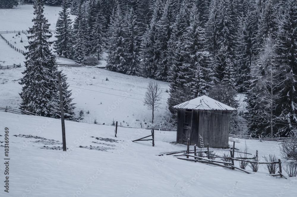 Neglected small wooden barn stays on a mountain hill among spruces in snowy winter time. Neglected small wooden barn stays on a mountain hill among spruces in snowy winter time.