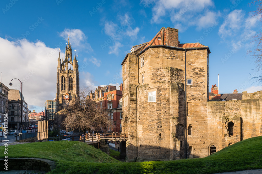 Obraz premium Black Gate and St Nicholas Cathedral