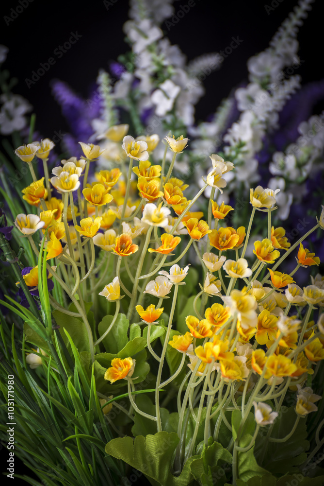 Obraz premium Flowers