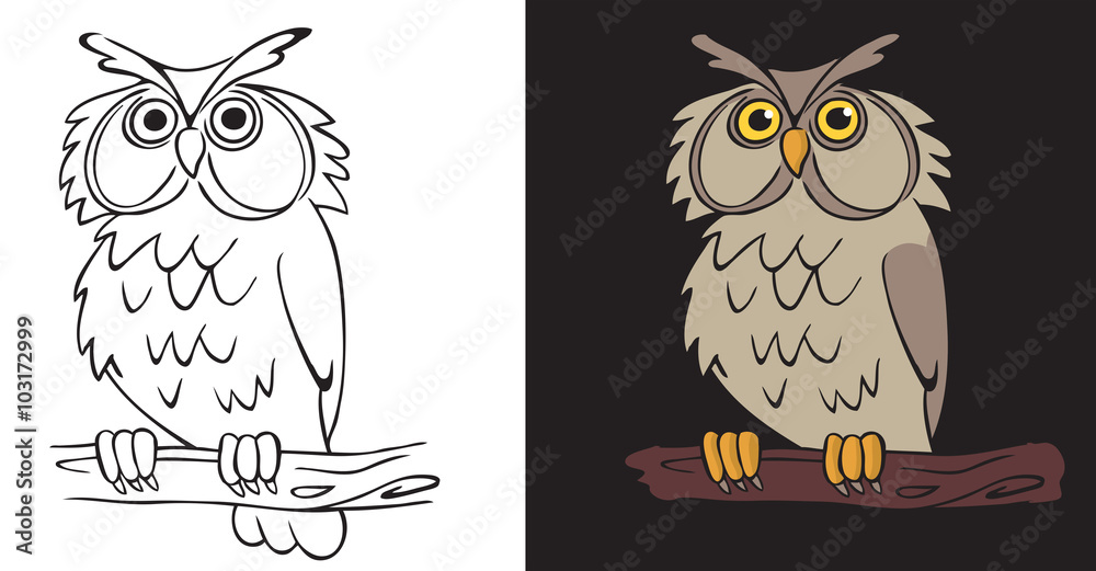 Obraz premium night owl