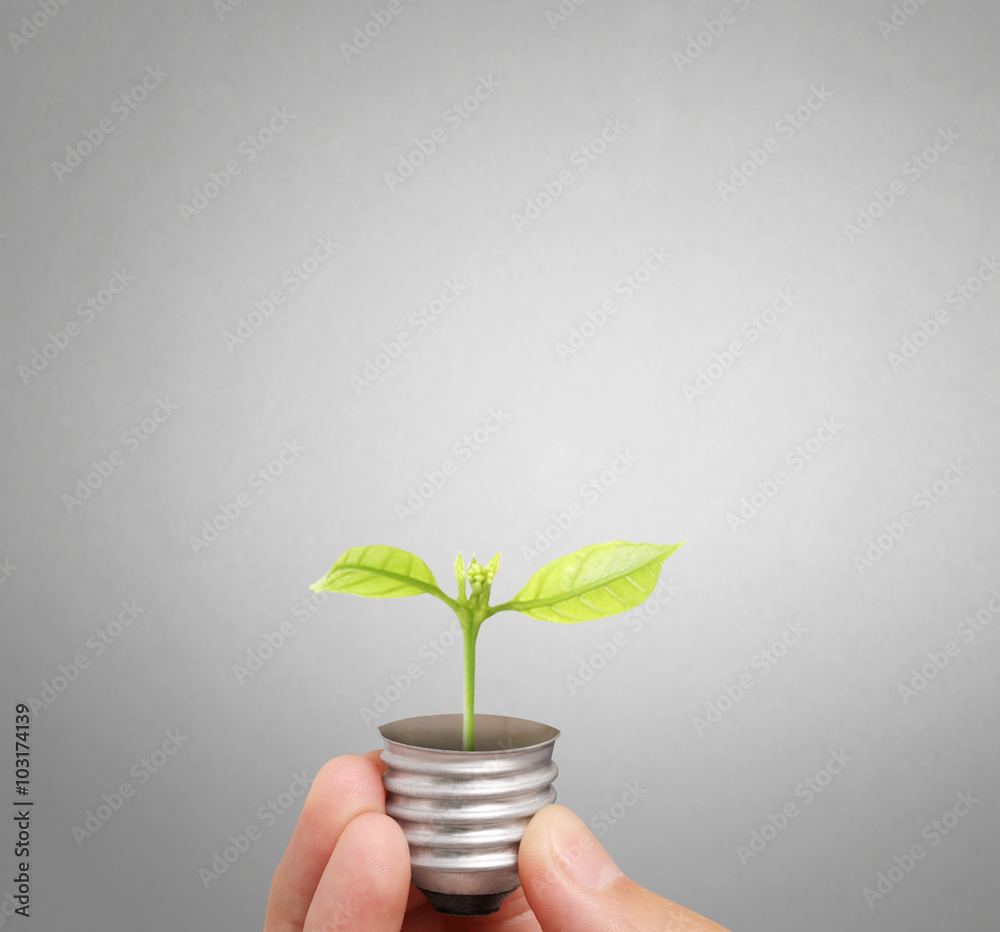 Energy saving light bulb, Creative light bulb idea in hand Energy saving light bulb, Creative light bulb idea in hand