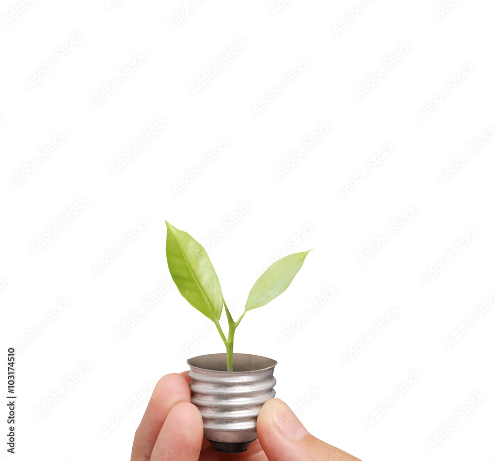 Energy saving light bulb, Creative light bulb idea in hand Energy saving light bulb, Creative light bulb idea in hand