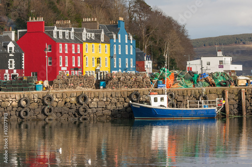 tobermory harbour