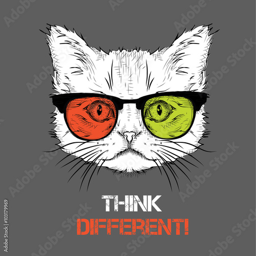 Portrait of the cat in the colored glasses. Think different. Vector illustration.
