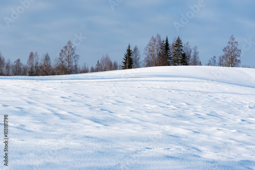 Winter landscape, Latvia.